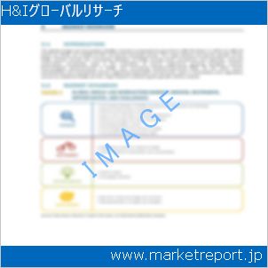 市場と産業調査レポートのイメージ